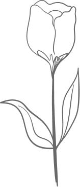 Detalhe floral botânico canto superior esquerdo